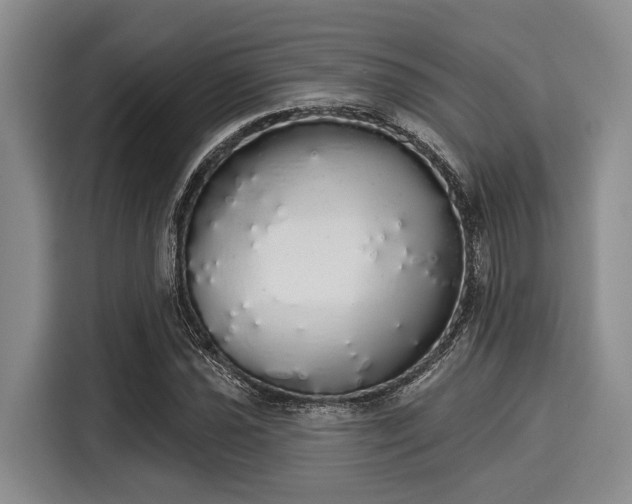 X0000116041021200911271154