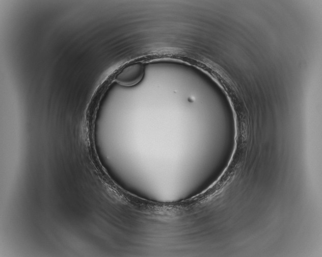 X0000116041022200911271154