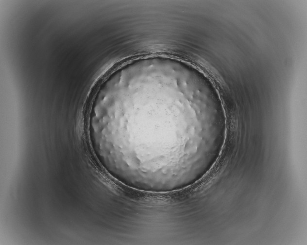 X0000116041023200911271154