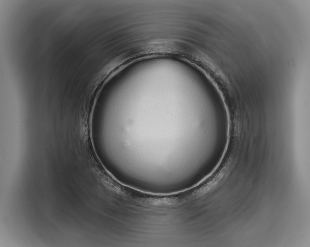 X0000116041025200911271154