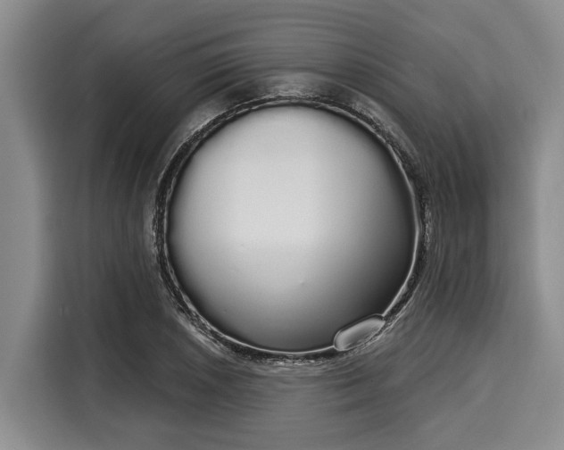 X0000116041026200911271154