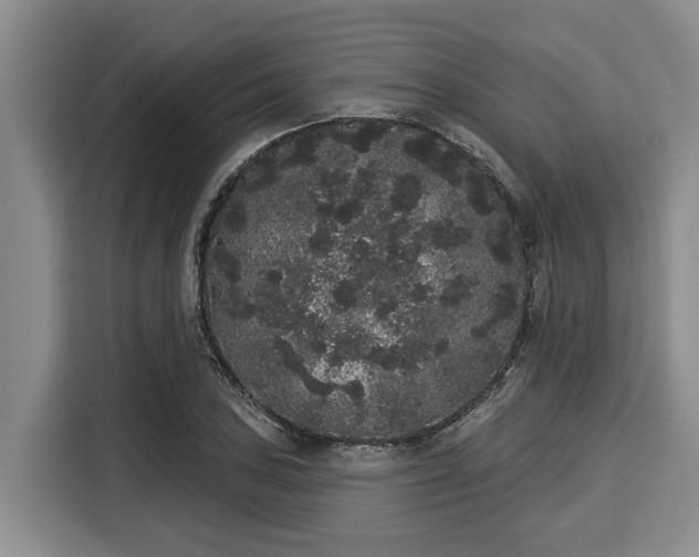 X0000116041027200911271154