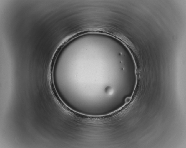 X0000116041028200911271154