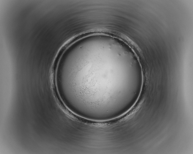 X0000116041029200911271154