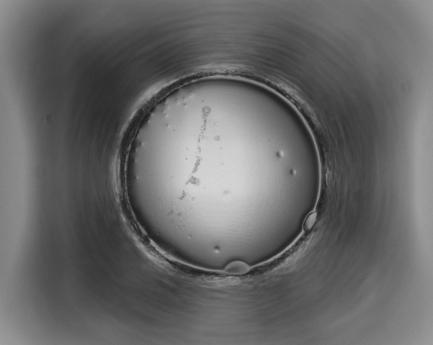 X0000116041030200911271154