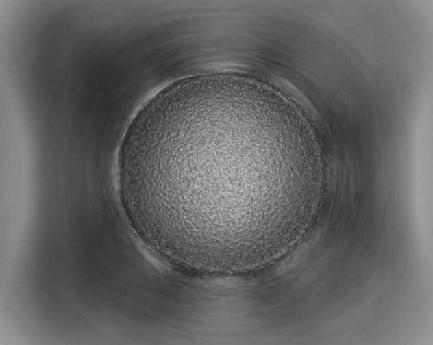 X0000116041031200911271154