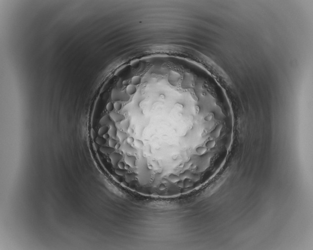 X0000116041033200911271154