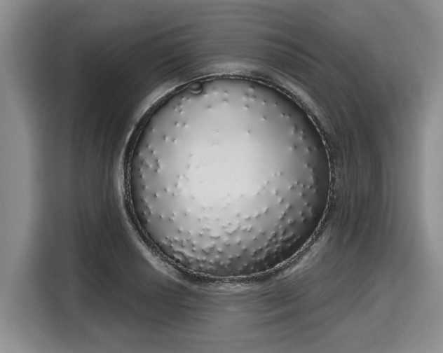 X0000116041034200911271154