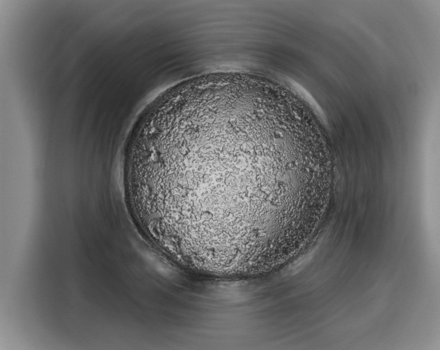 X0000116041035200911271154