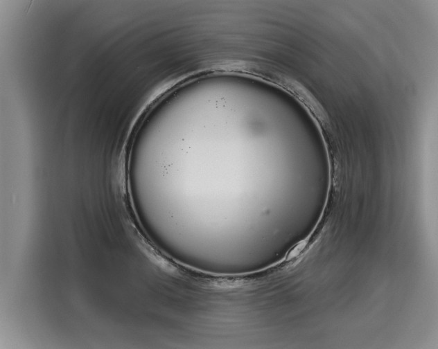 X0000116041036200911271154