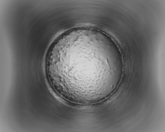 X0000116041038200911271154