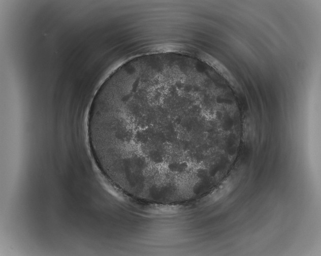 X0000116041039200911271154