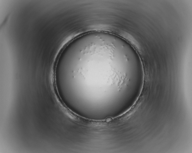 X0000116041040200911271154