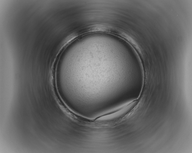 X0000116041042200911271154