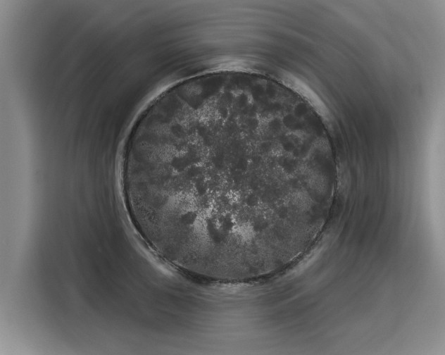 X0000116041043200911271154