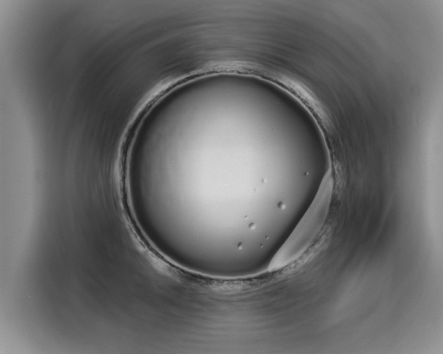 X0000116041046200911271154