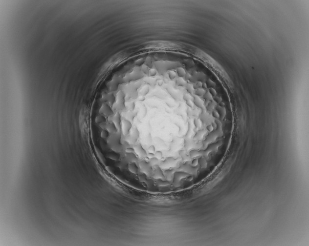 X0000116041049200911271154