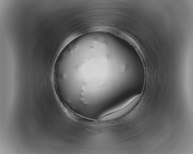 X0000116041050200911271154