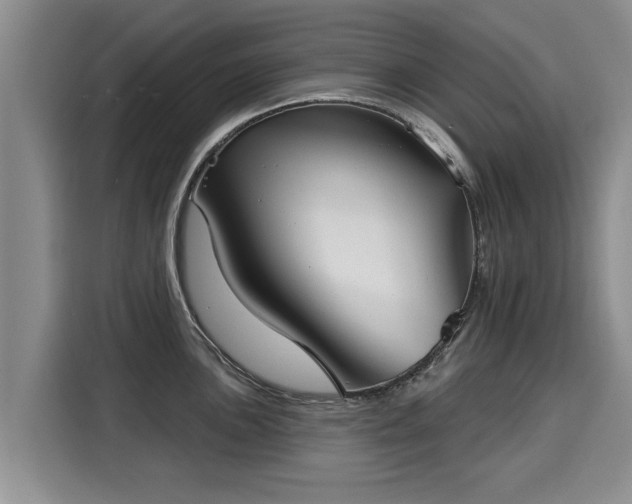 X0000116041051200911271154