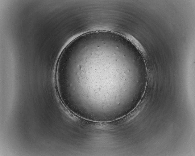 X0000116041052200911271154