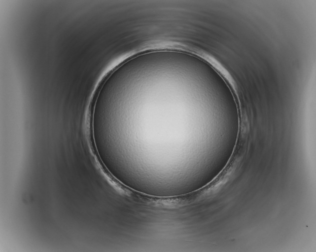 X0000116041053200911271154