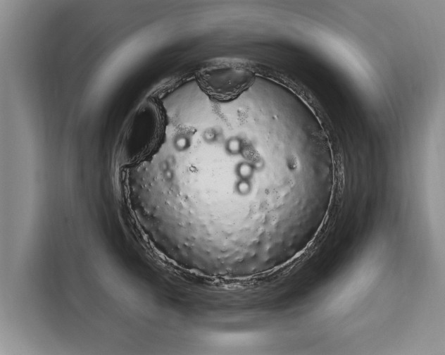 X0000116041054200911271154