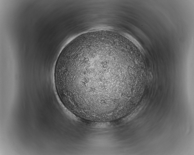 X0000116041055200911271154