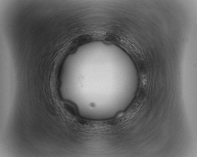 X0000116041057200911271153