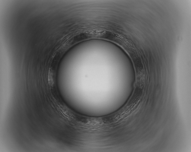 X0000116041058200911271153