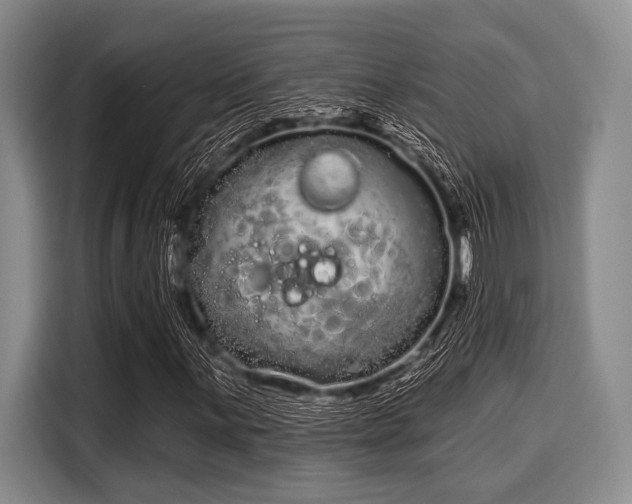 X0000116041059200911271153