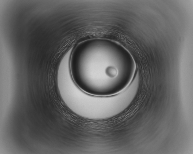 X0000116041060200911271153