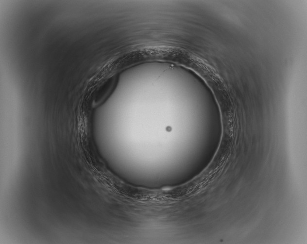 X0000116041061200911271153