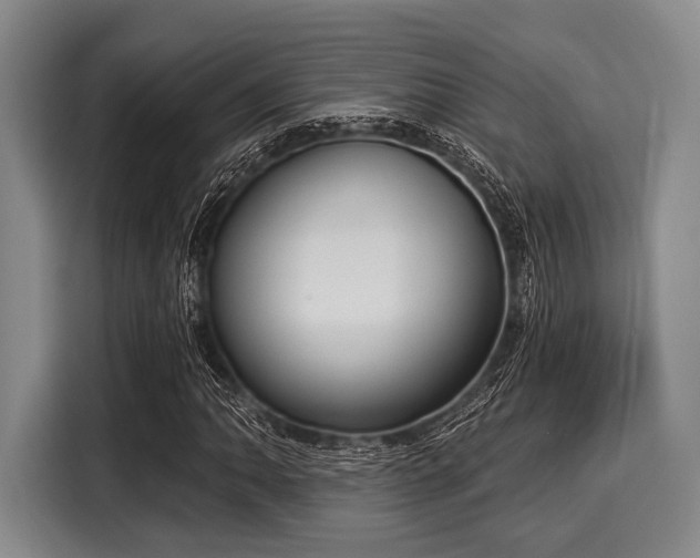 X0000116041062200911271153