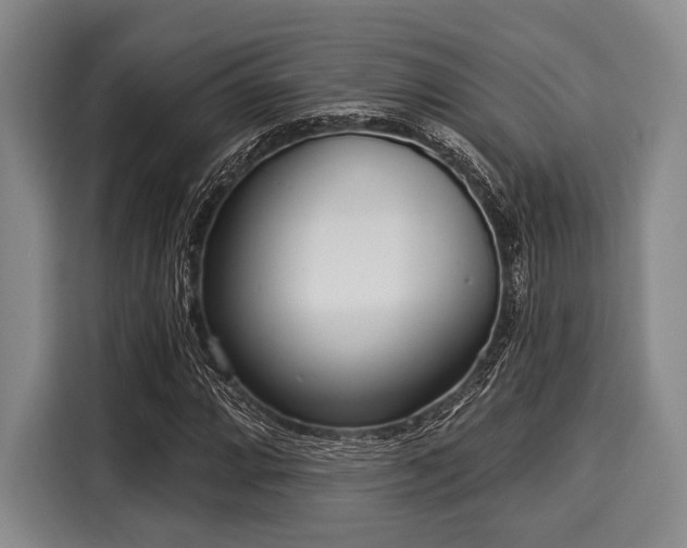 X0000116041064200911271153