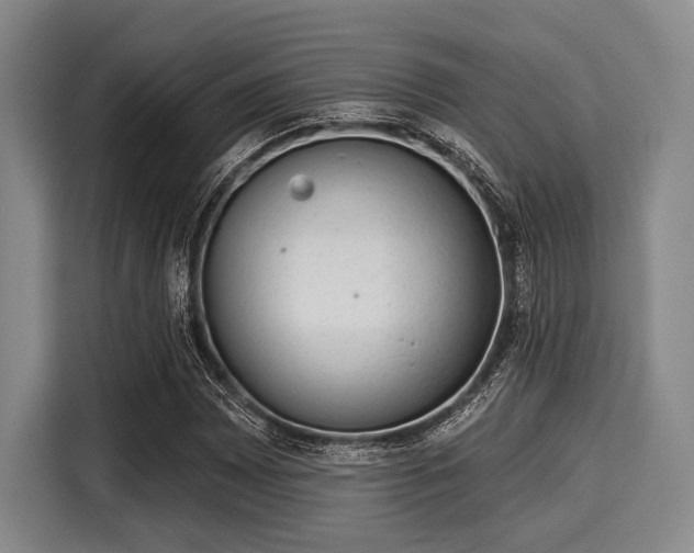 X0000116041065200911271153