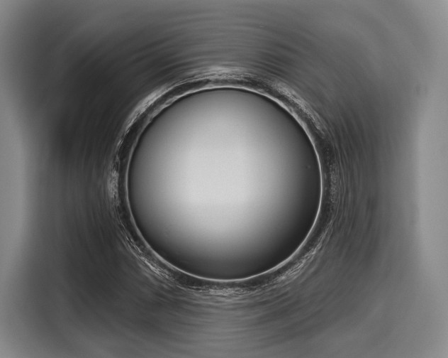 X0000116041066200911271153