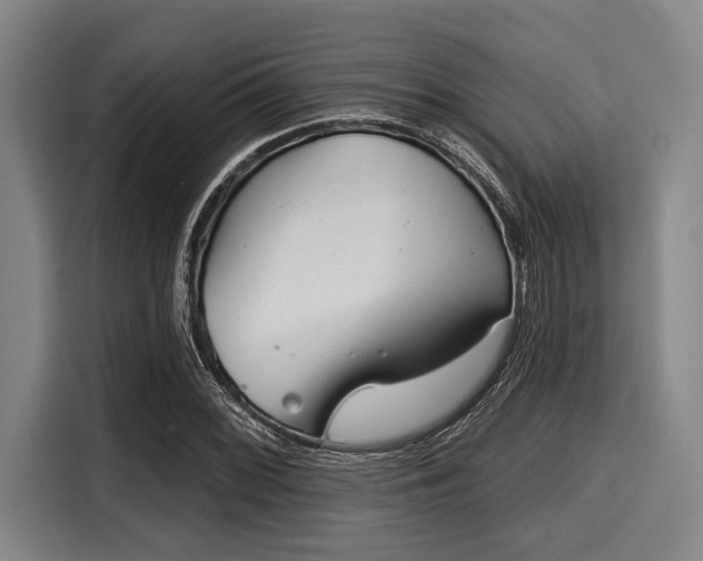 X0000116041068200911271153