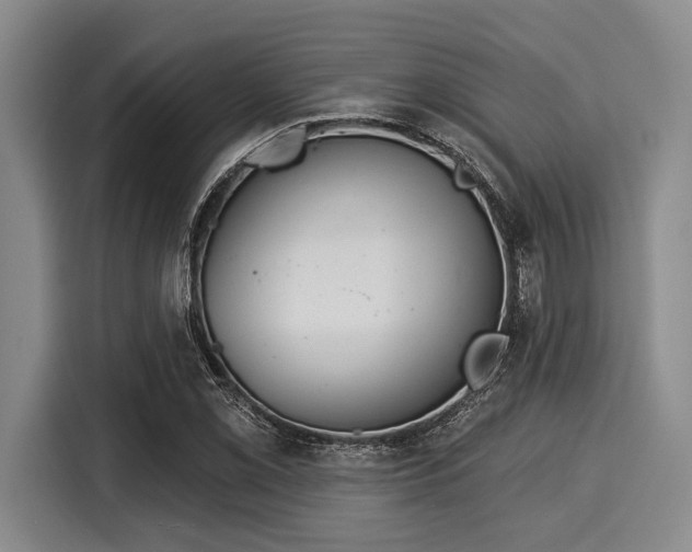 X0000116041069200911271153