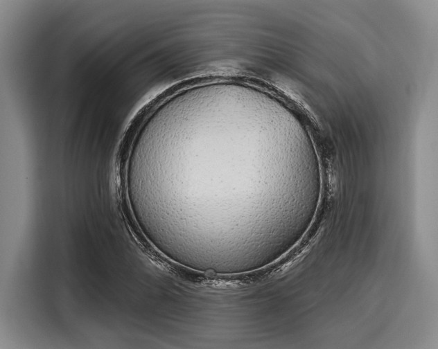 X0000116041070200911271153