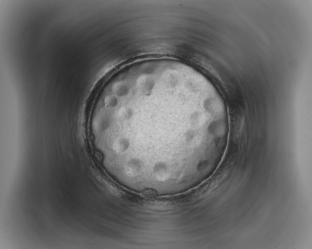 X0000116041071200911271153