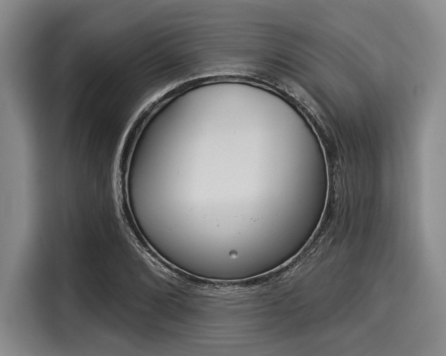 X0000116041072200911271153