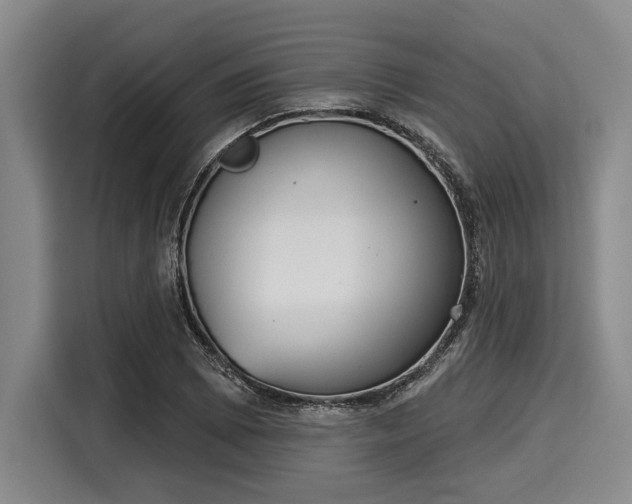 X0000116041073200911271153