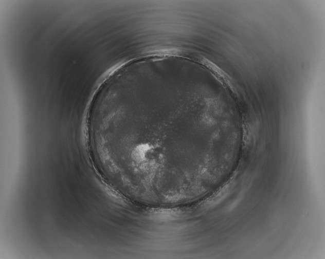 X0000116041074200911271153