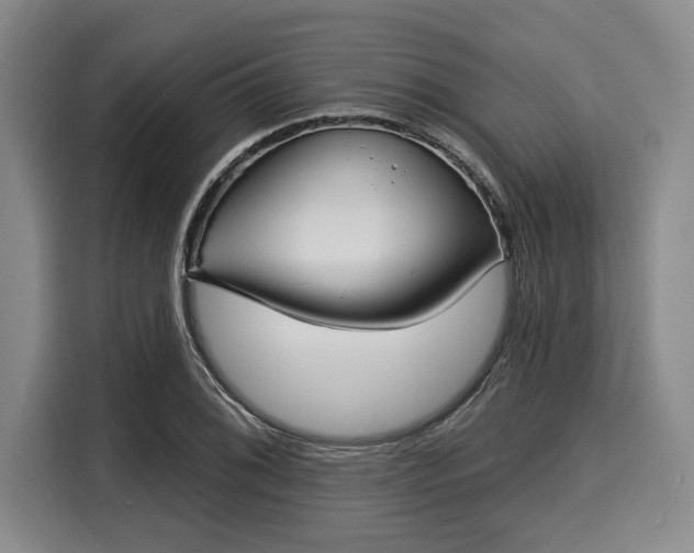 X0000116041076200911271153