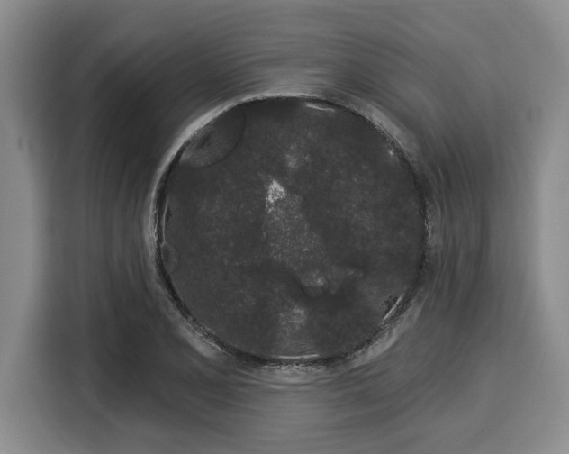 X0000116041077200911271153