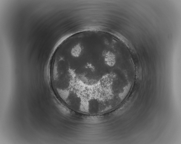 X0000116041078200911271153