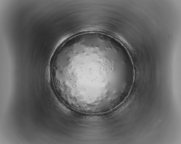 X0000116041079200911271153