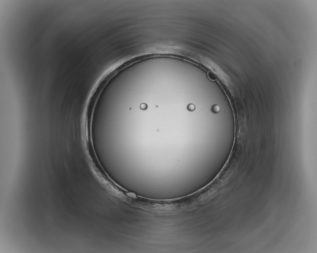 X0000116041080200911271153