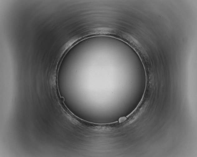 X0000116041081200911271153