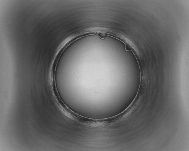 X0000116041082200911271153